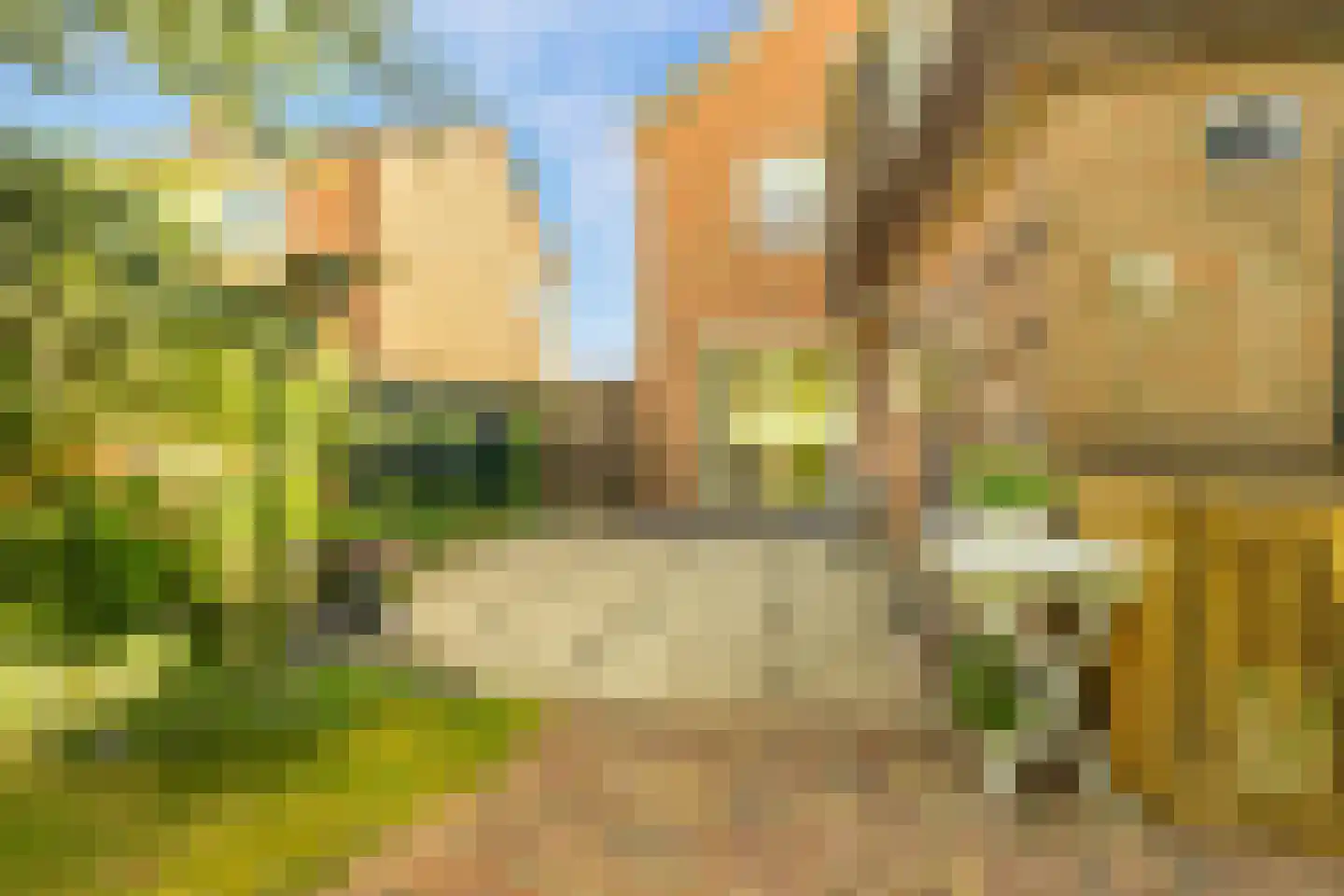 Jan Cornelisz. Rijpstraat 8 De Rijp thumbnail 35