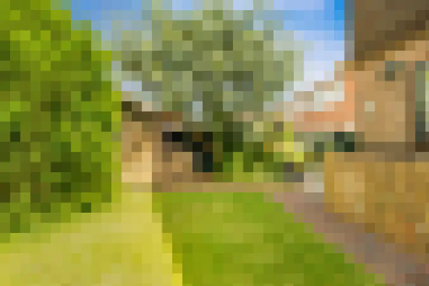 Jan Cornelisz. Rijpstraat 8 De Rijp thumbnail 38