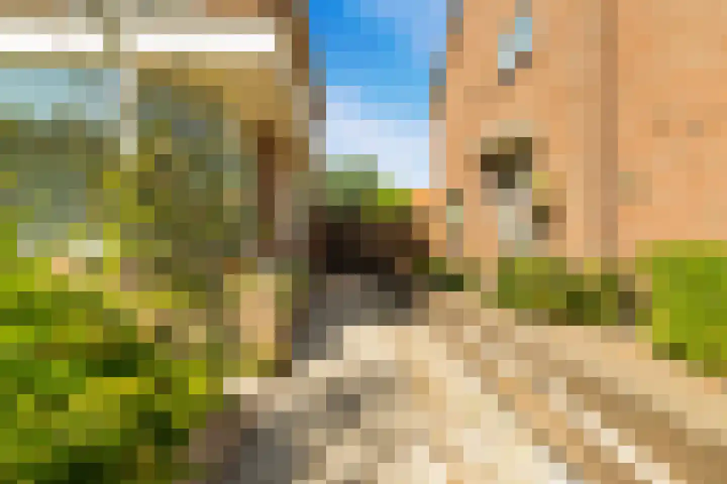 Jan Cornelisz. Rijpstraat 8 De Rijp thumbnail 44
