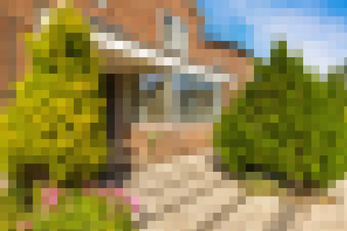 Jan Cornelisz. Rijpstraat 8 De Rijp thumbnail 45