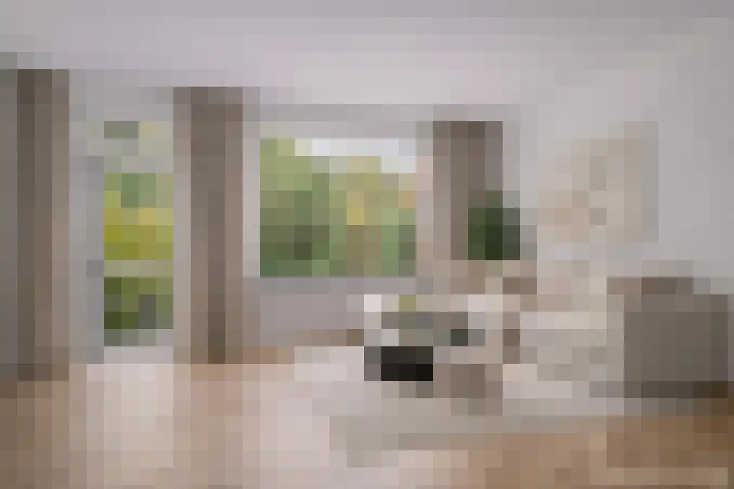 Jan Cramerhof 31 Noordwijk thumbnail 6