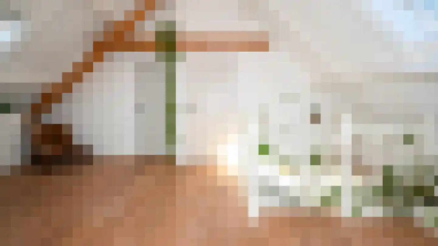 Jan Cupidolaan 5 West-Terschelling thumbnail 35