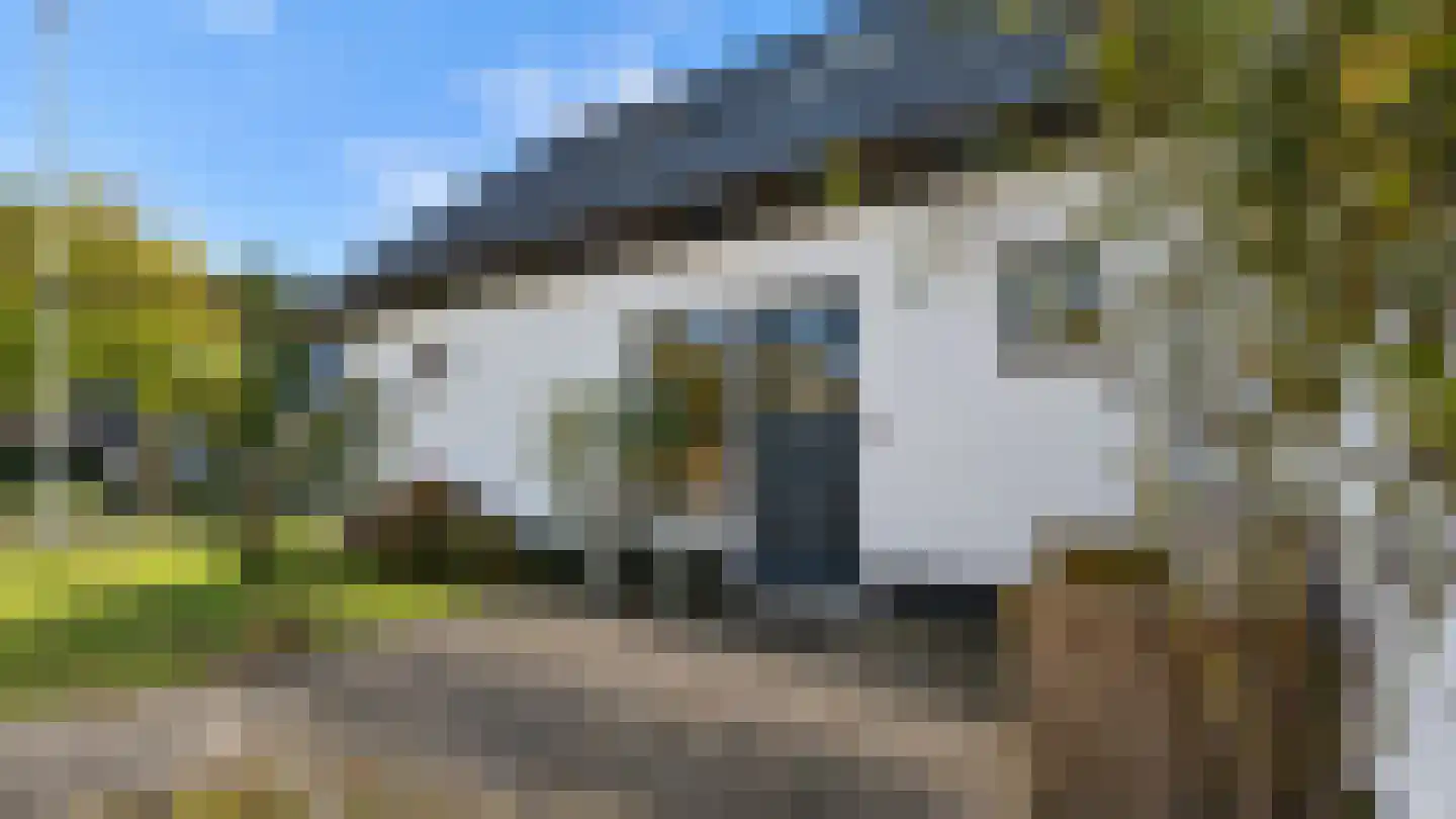 Jan Cupidolaan 5 West-Terschelling thumbnail 4