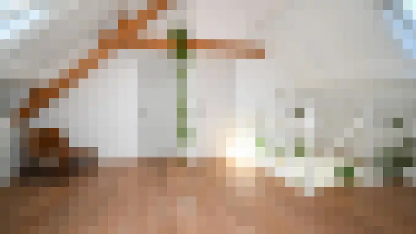 Jan Cupidolaan 5 West-Terschelling thumbnail 41