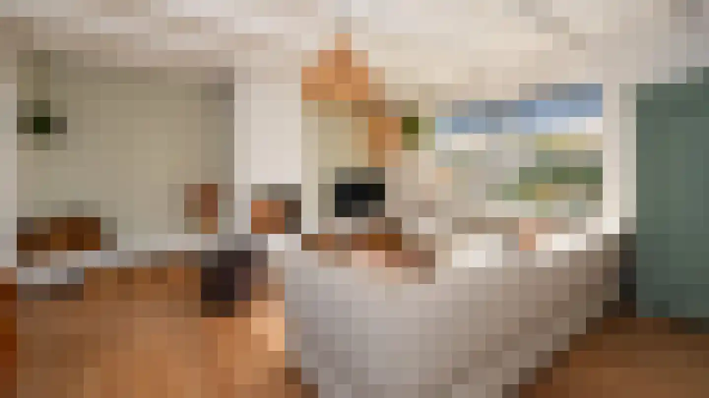 Jan Cupidolaan 5 West-Terschelling thumbnail 6