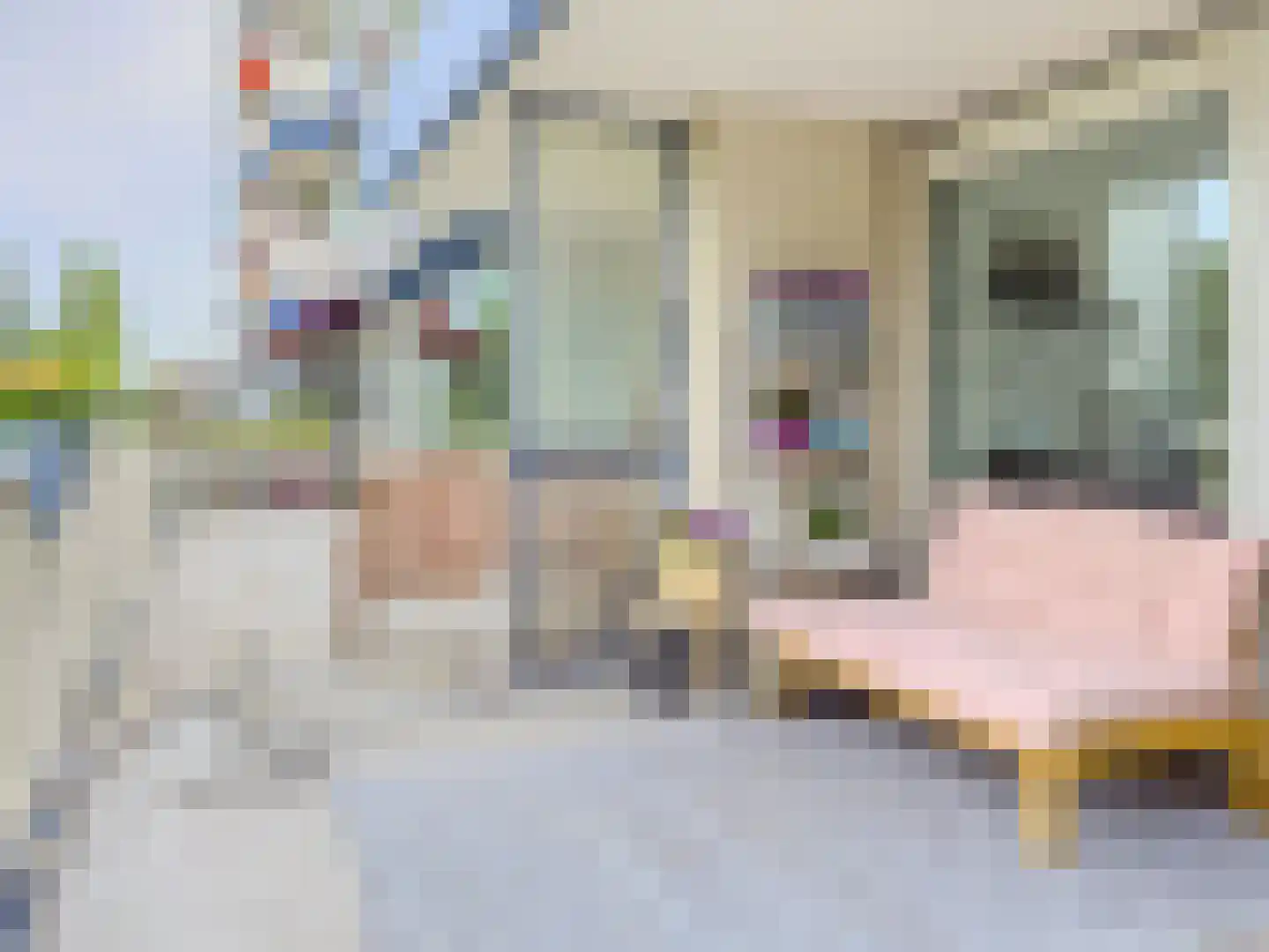 Jan Dammassestraat 1 Rotterdam thumbnail 8