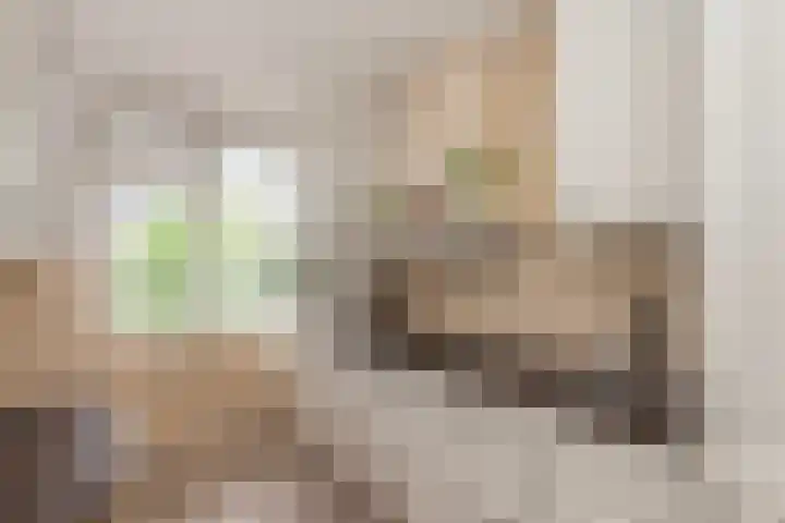 Jan Dammassestraat 14 Rotterdam thumbnail 10