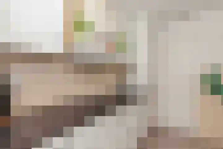 Jan Dammassestraat 14 Rotterdam thumbnail 11