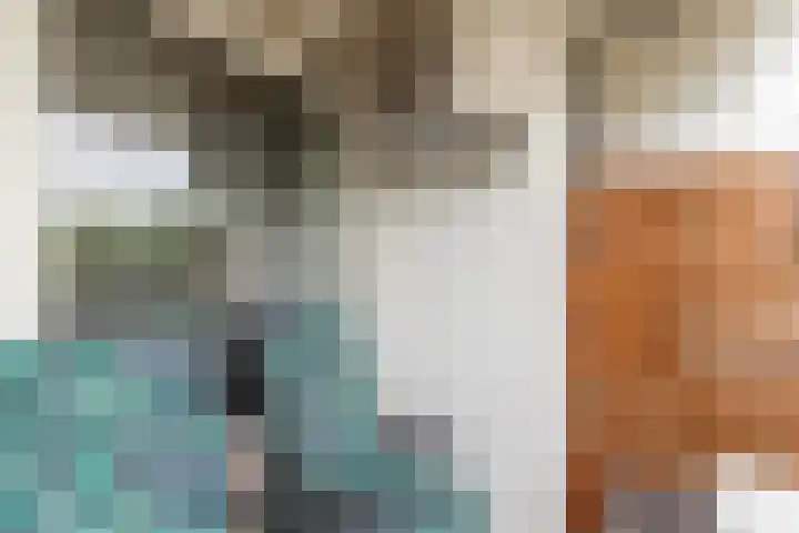 Jan Dammassestraat 14 Rotterdam thumbnail 17