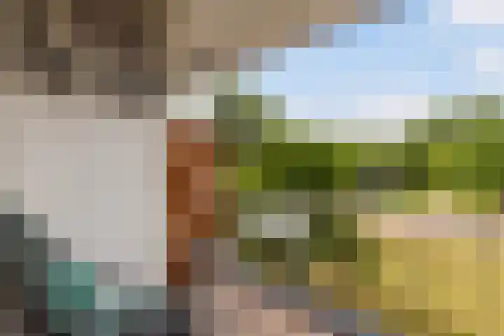 Jan Dammassestraat 14 Rotterdam thumbnail 18