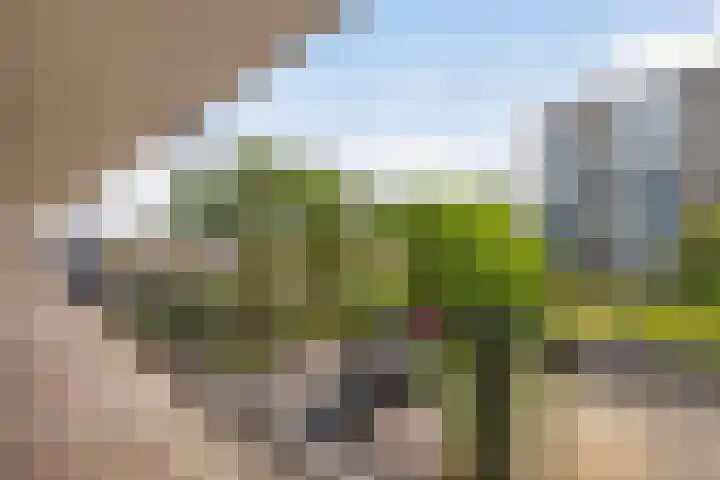 Jan Dammassestraat 14 Rotterdam thumbnail 26