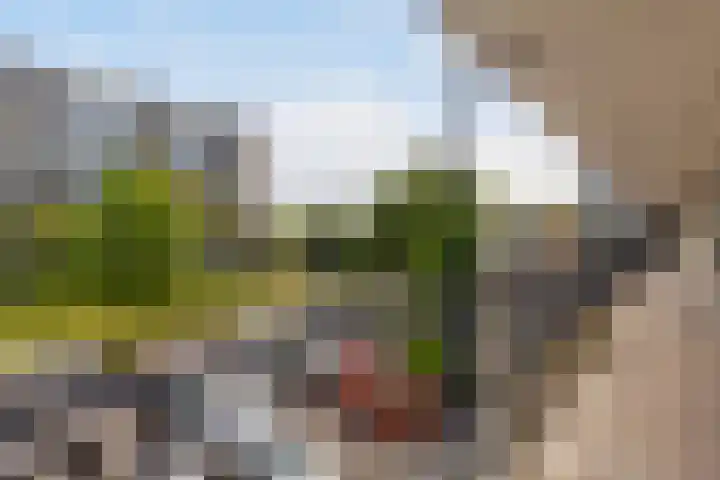 Jan Dammassestraat 14 Rotterdam thumbnail 27