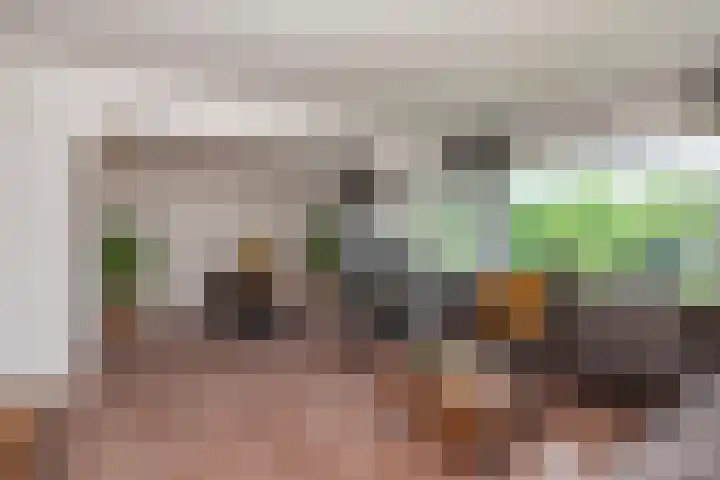 Jan Dammassestraat 14 Rotterdam thumbnail 4
