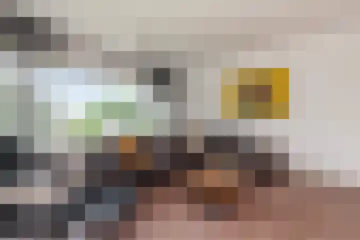 Jan Dammassestraat 14 Rotterdam thumbnail 5