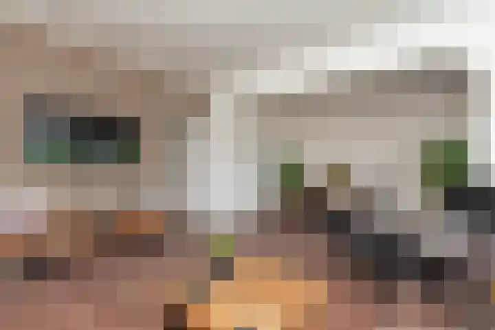 Jan Dammassestraat 14 Rotterdam thumbnail 6
