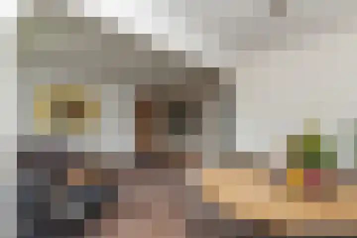 Jan Dammassestraat 14 Rotterdam thumbnail 7