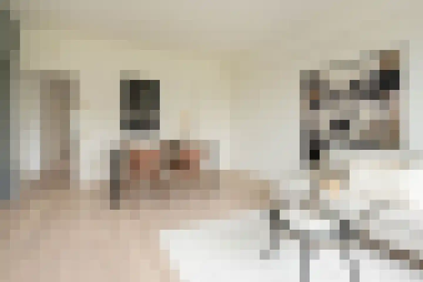 Jan Dammassestraat 5 Rotterdam thumbnail 10
