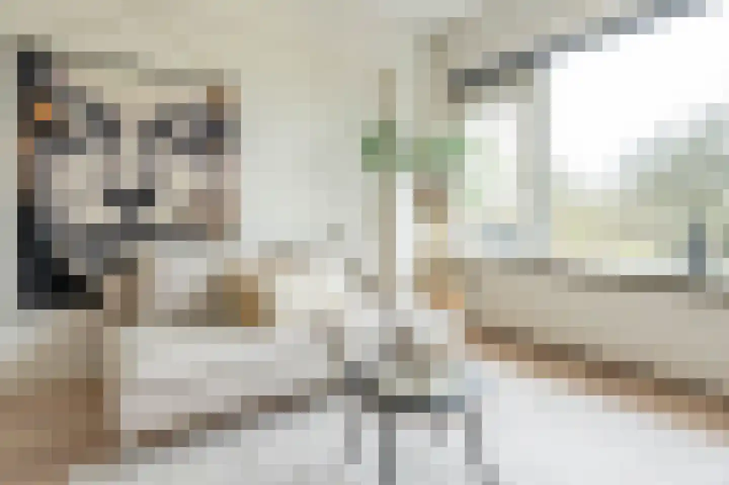 Jan Dammassestraat 5 Rotterdam thumbnail 12