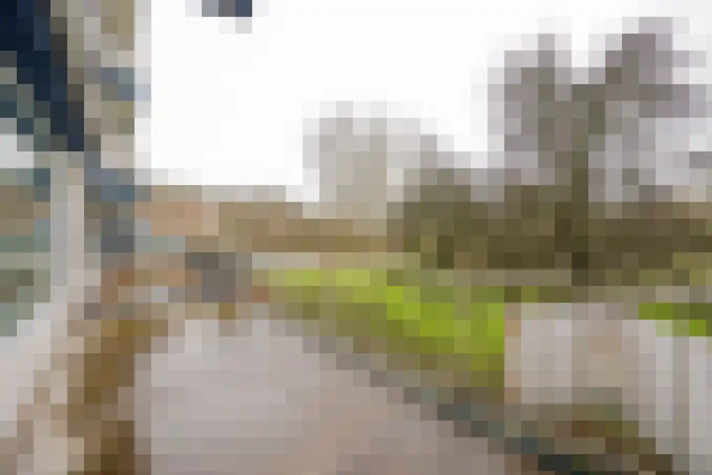 Jan Dammassestraat 5 Rotterdam thumbnail 28