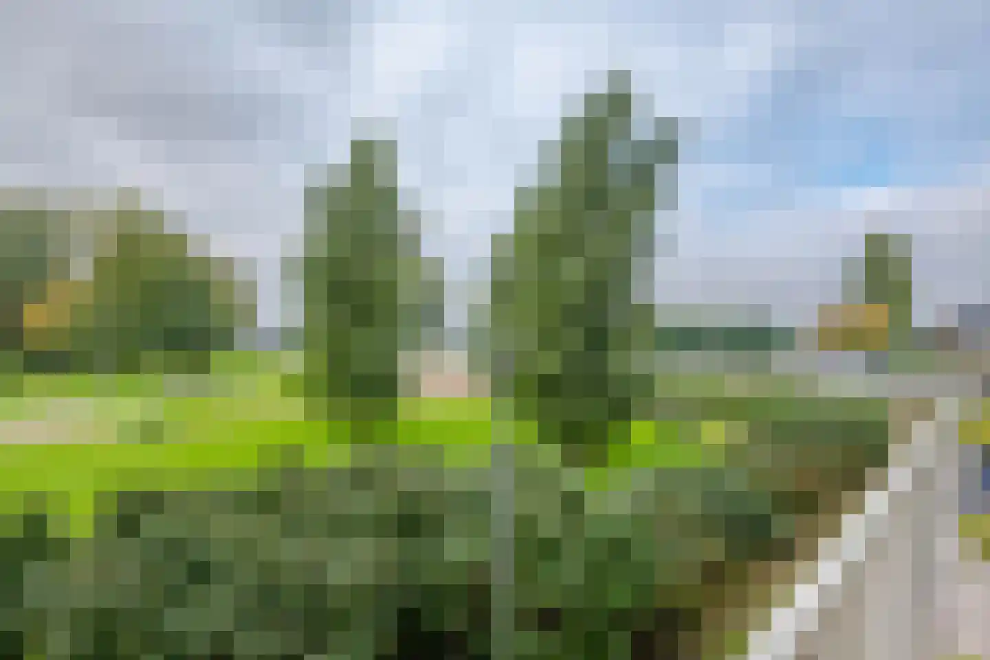 Jan Dammassestraat 6 Rotterdam thumbnail 18