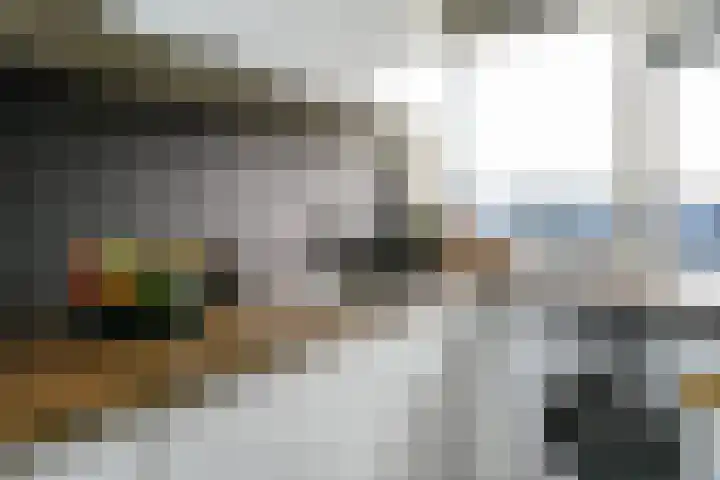 Jan Dammassestraat 67 Rotterdam thumbnail 12