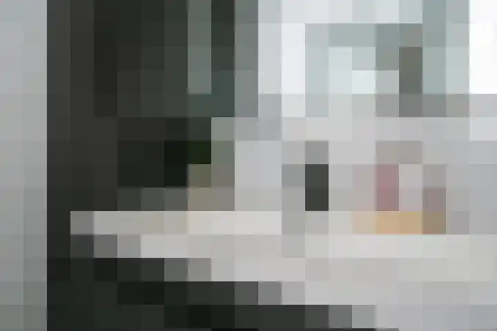 Jan Dammassestraat 67 Rotterdam thumbnail 17