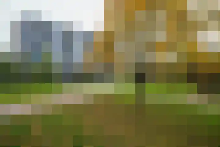 Jan Dammassestraat 67 Rotterdam thumbnail 29