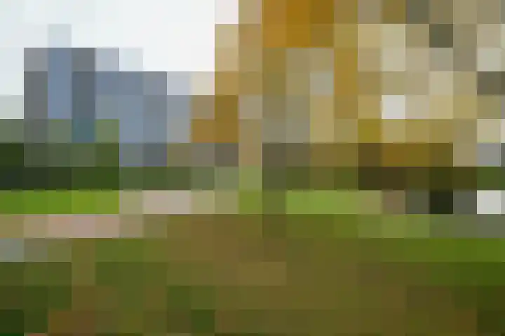 Jan Dammassestraat 67 Rotterdam thumbnail 30