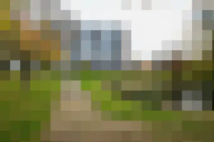 Jan Dammassestraat 67 Rotterdam thumbnail 31