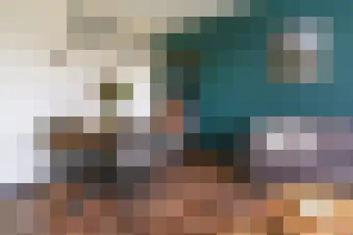 Jan Dammassestraat 67 Rotterdam thumbnail 9