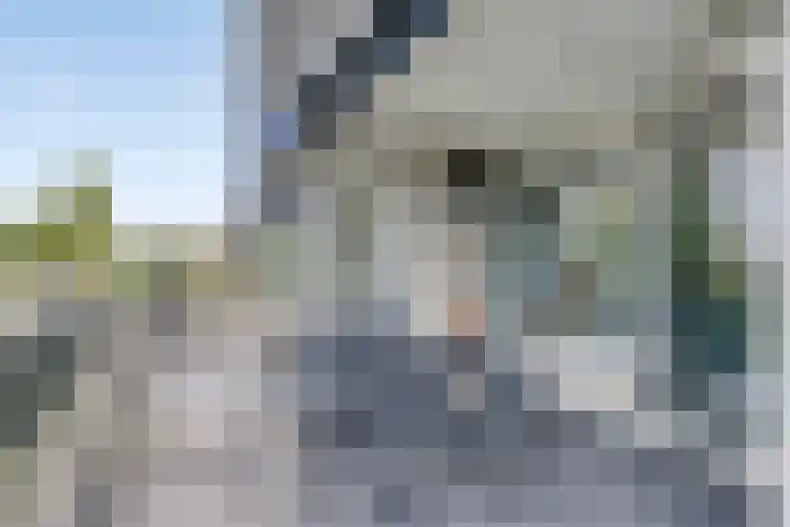 Jan Dammassestraat 7 Rotterdam thumbnail 10