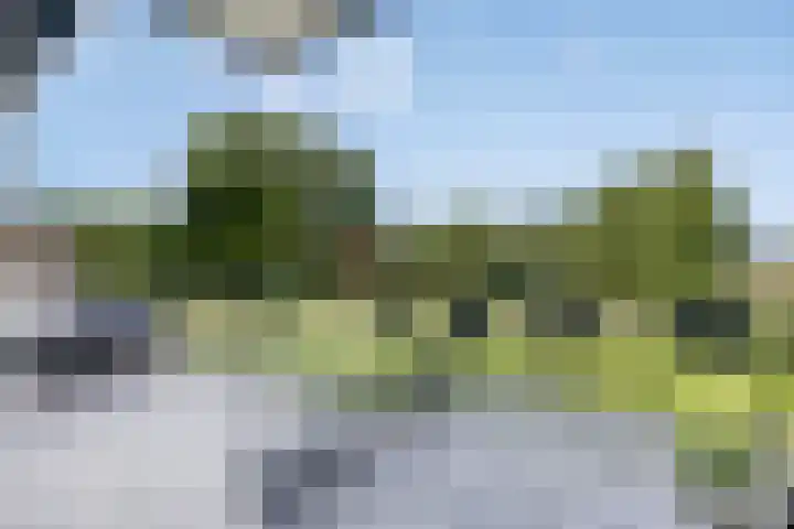 Jan Dammassestraat 7 Rotterdam thumbnail 11