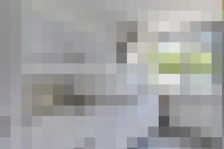 Jan Dammassestraat 7 Rotterdam thumbnail 12