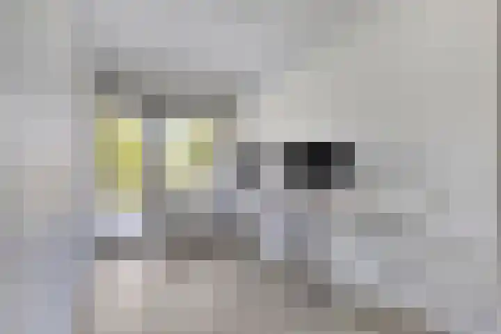 Jan Dammassestraat 7 Rotterdam thumbnail 22