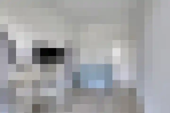 Jan Dammassestraat 7 Rotterdam thumbnail 23