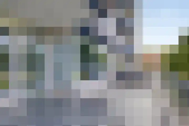 Jan Dammassestraat 7 Rotterdam thumbnail 7