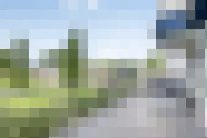 Jan Dammassestraat 7 Rotterdam thumbnail 9