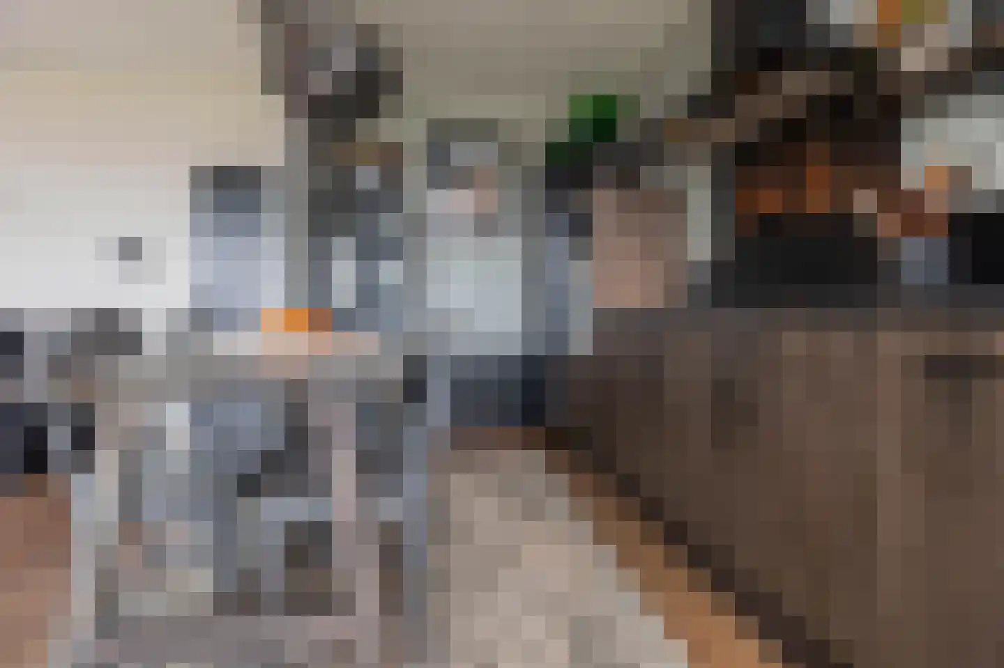 Jan Dammassestraat 76 Rotterdam thumbnail 13
