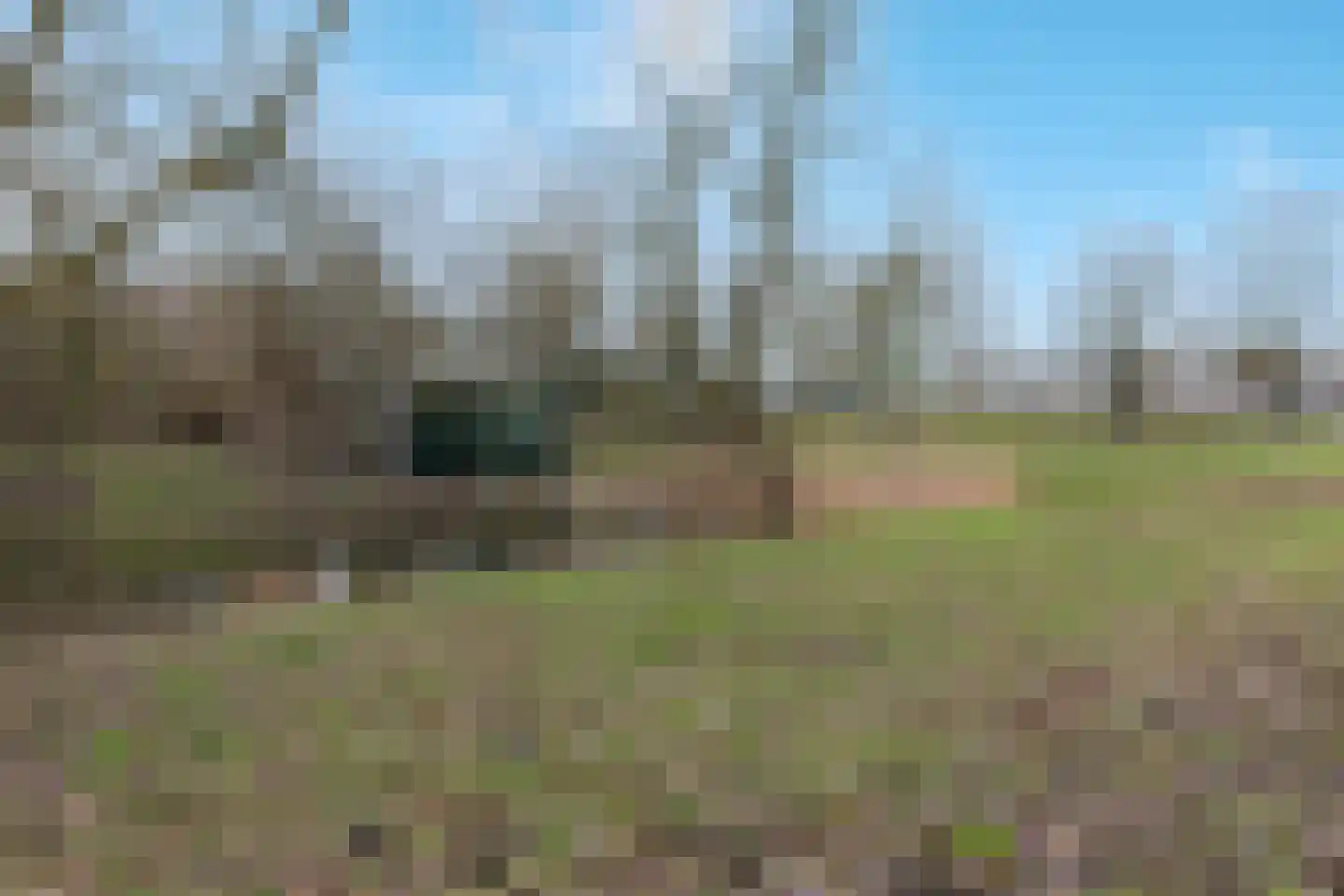 Jan Dammassestraat 76 Rotterdam thumbnail 27