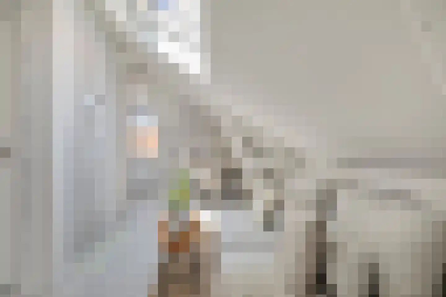 Jan de Bakkerstraat 10 II Woerden thumbnail 10