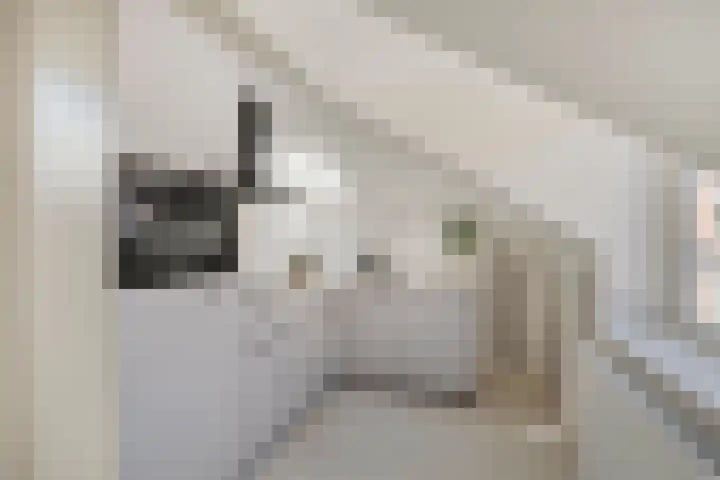 Jan de Bakkerstraat 10 II Woerden thumbnail 15