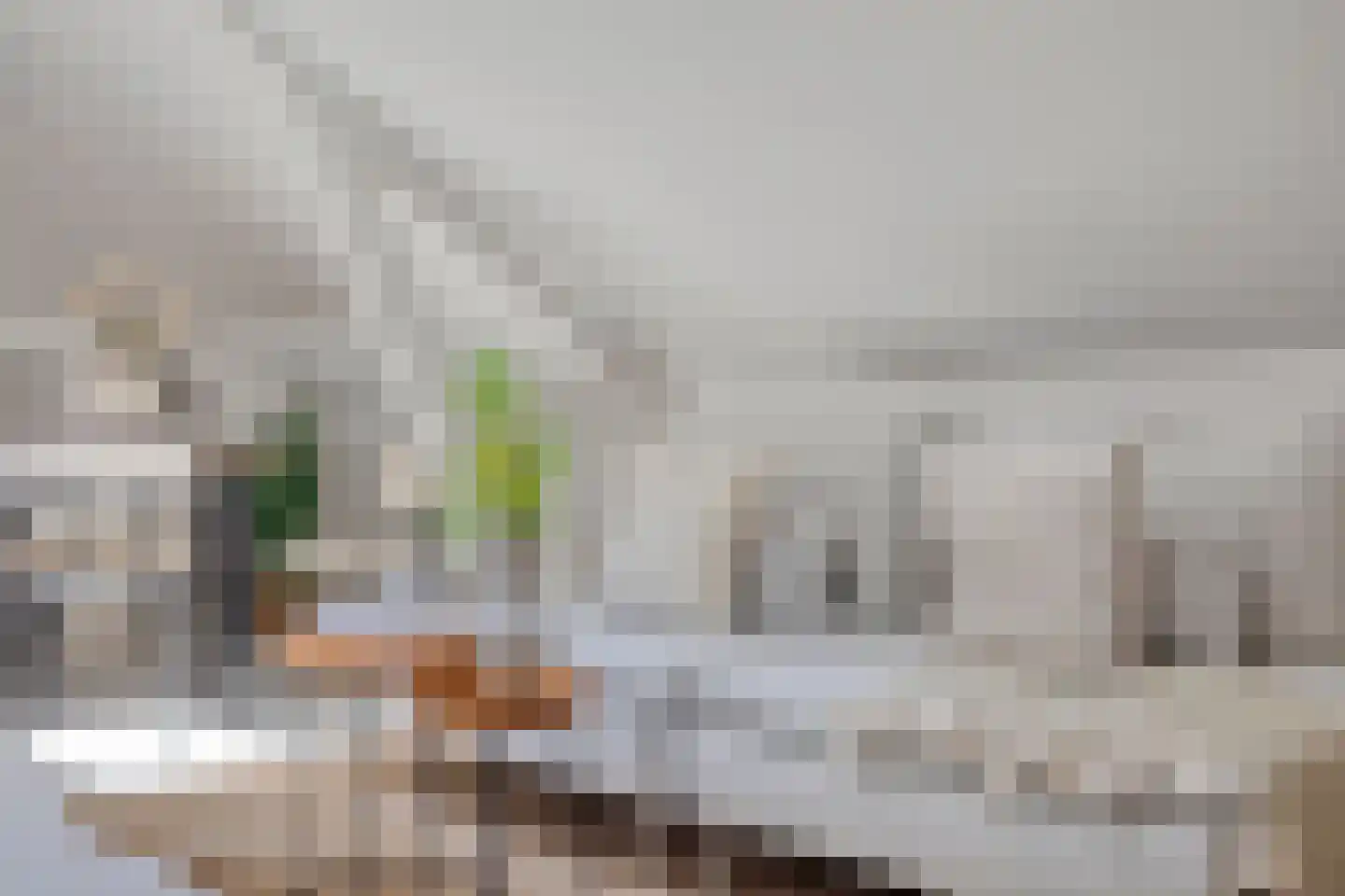 Jan de Bakkerstraat 10 II Woerden thumbnail 8