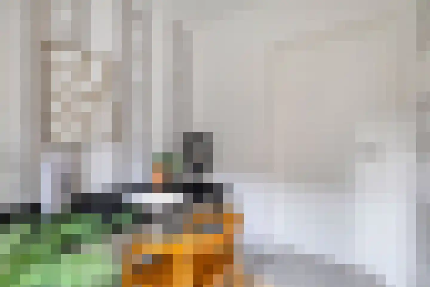 Jan de Bakkerstraat 10 Woerden thumbnail 18