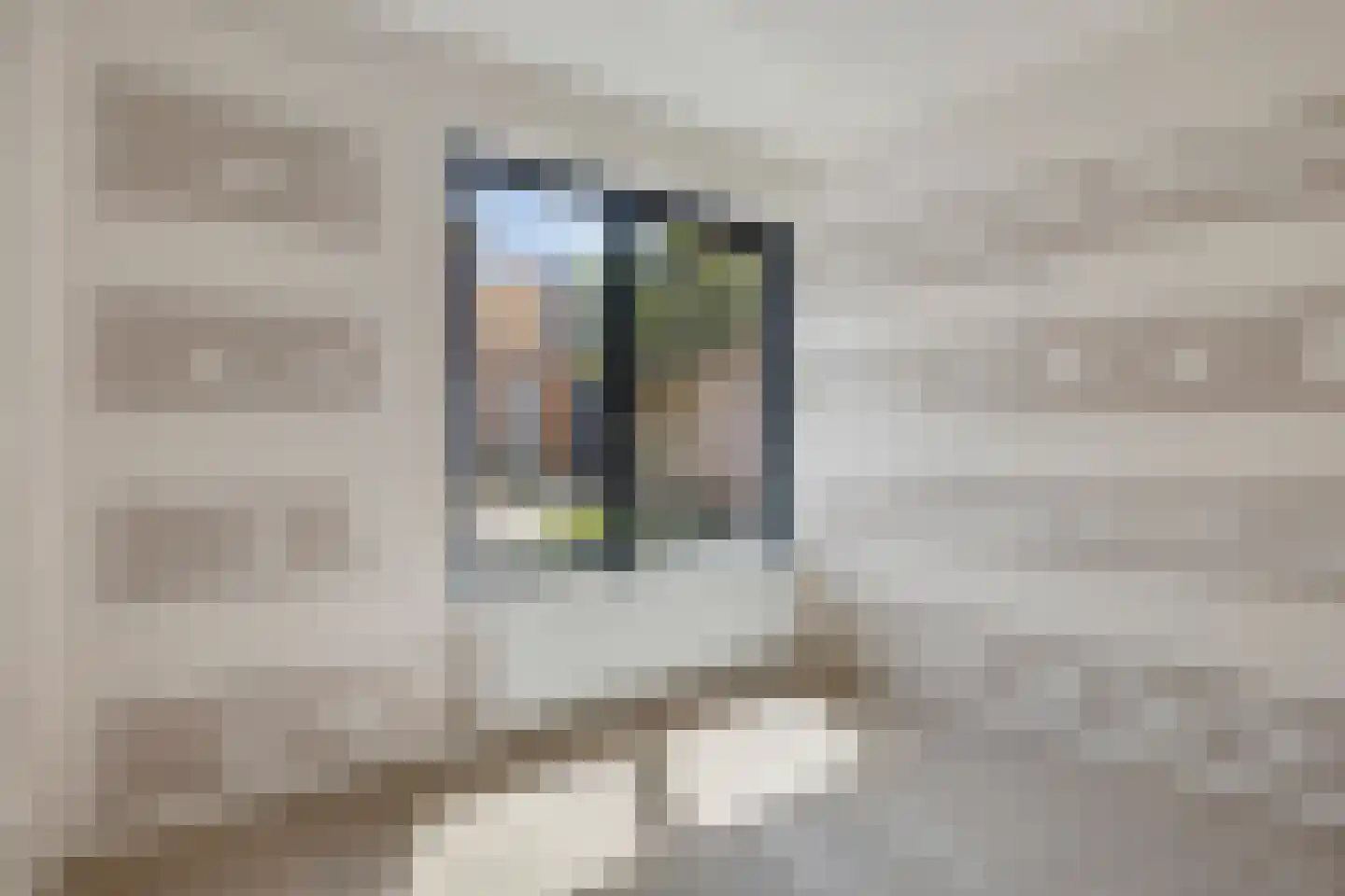 Jan de Bakkerstraat 10 Woerden thumbnail 22
