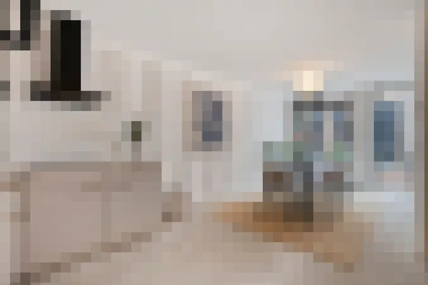 Jan de Bakkerstraat 10 Woerden thumbnail 6