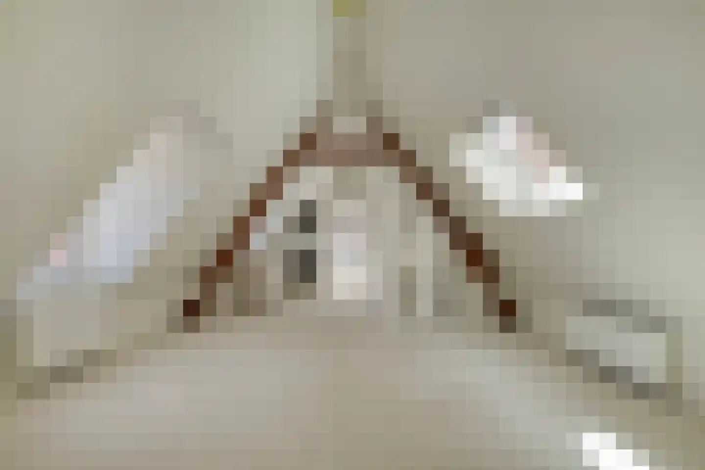 Jan de Bakkerstraat 14 Woerden thumbnail 11