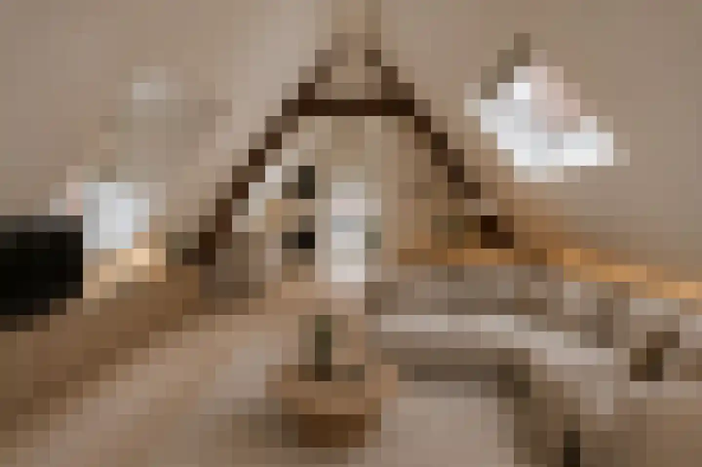 Jan de Bakkerstraat 14 Woerden thumbnail 12
