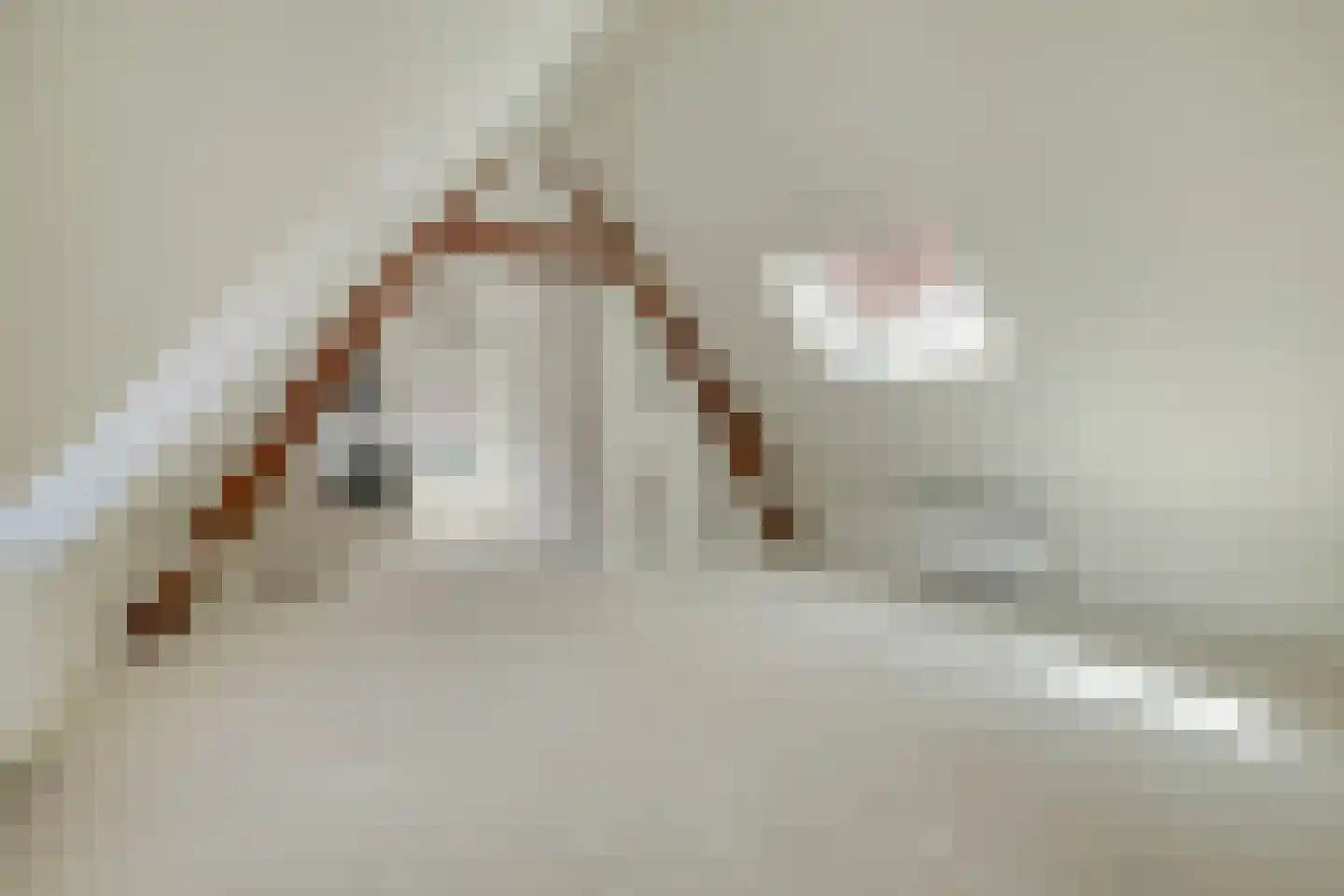 Jan de Bakkerstraat 14 Woerden thumbnail 14