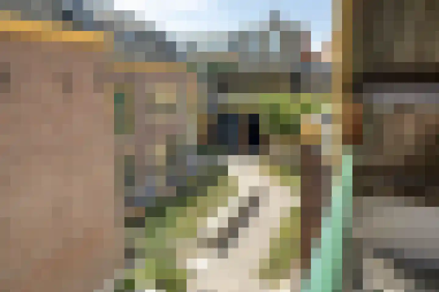 Jan de Bakkerstraat 14 Woerden thumbnail 21