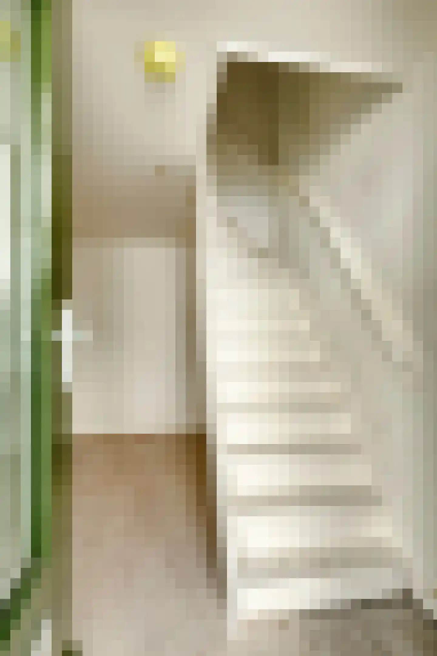Jan de Bakkerstraat 14 Woerden thumbnail 5